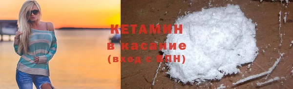 прущие грибы Абинск