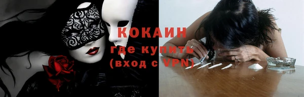 прущие грибы Абинск