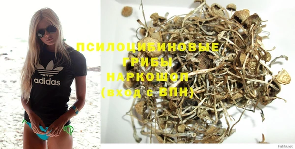 гидропоника Алзамай