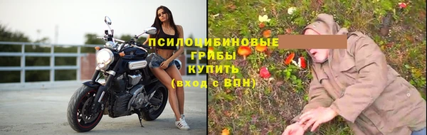 прущие грибы Алексин