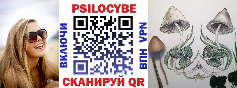 Галлюциногенные грибы Psilocybe  Нальчик 